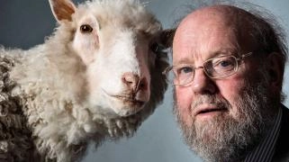 Addio a Ian Wilmut,  il "titano della scienza"  Clonò la pecora Dolly