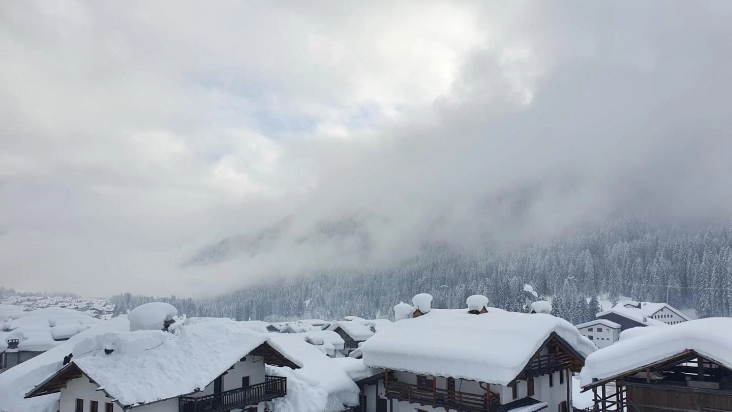 La nevicate di inizio gennaio sulle Dolomiti bellunesi (Ansa)