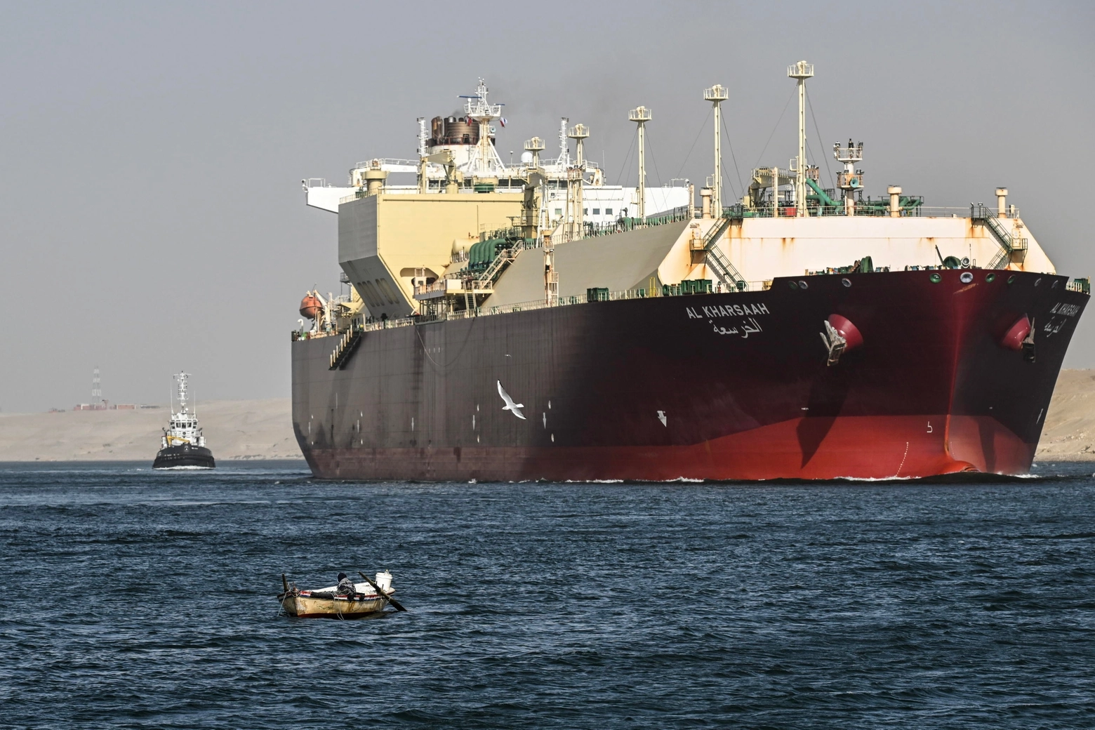 Una nave attraversa il canale di Suez nel mar Rosso (Ansa)