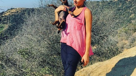 Elisabetta Canalis con uno dei suoi cagnolini su Instagram