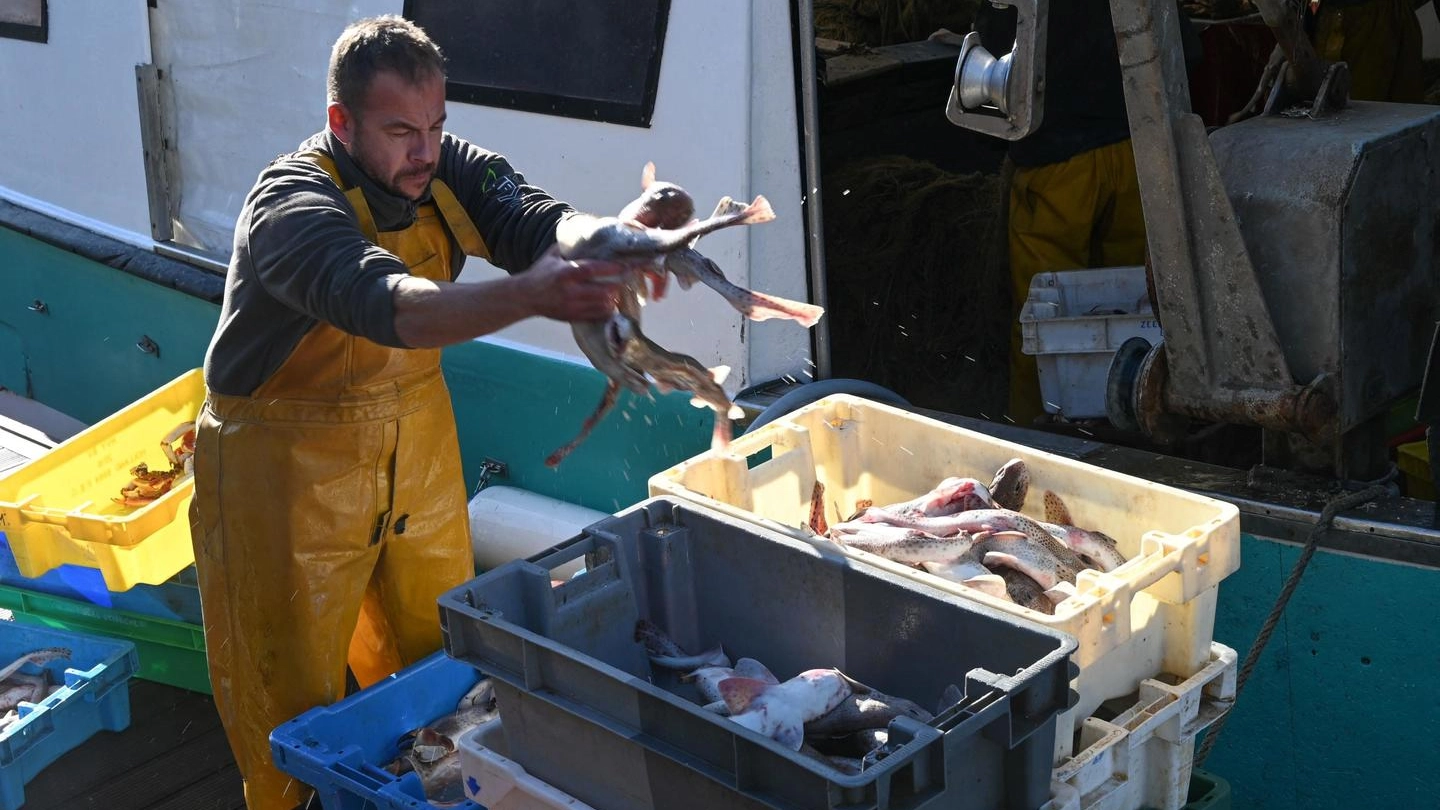 Guerra della pesca Francia-Inghilterra: si tratta