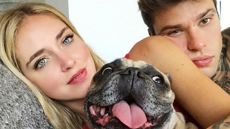 Fedez e Chiara Ferragni con il bulldog Matilda - foto @matildaferragni Instagram