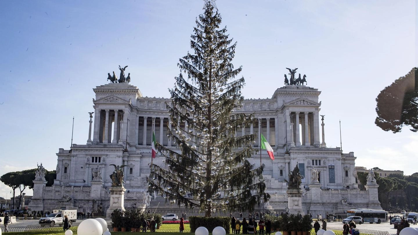 L'albero di Natale collocato a Roma, soprannominato "spelacchio" (Ansa)