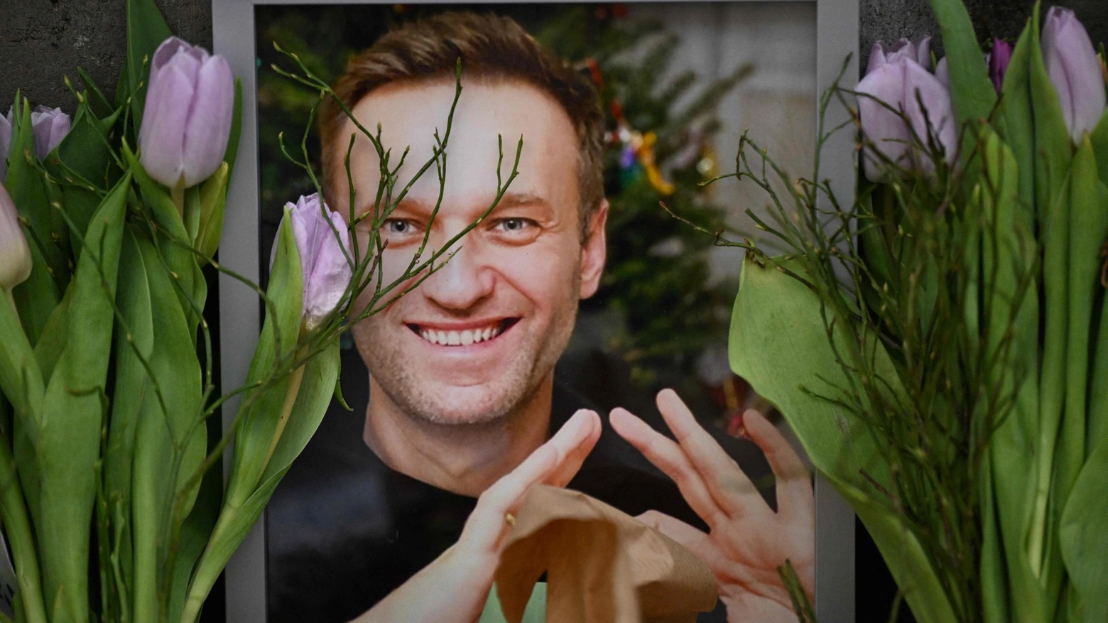 Fiori intorno a una foto di Navalny in Germania (Ansa)