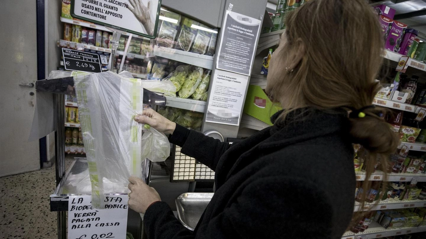 I sacchetti biodegradabili per ortofrutta ora sono a pagamento (Ansa)