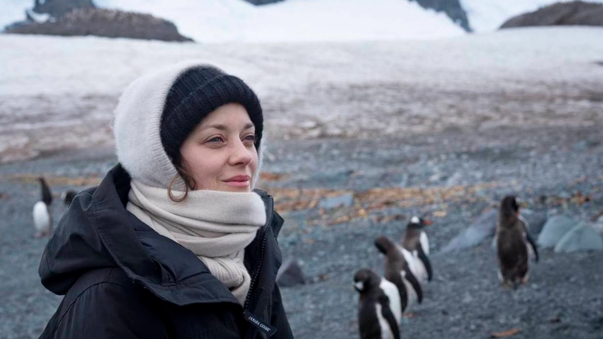 L’attrice francese Marion Cotillard, 44 anni, in Antartide circondata da pinguini