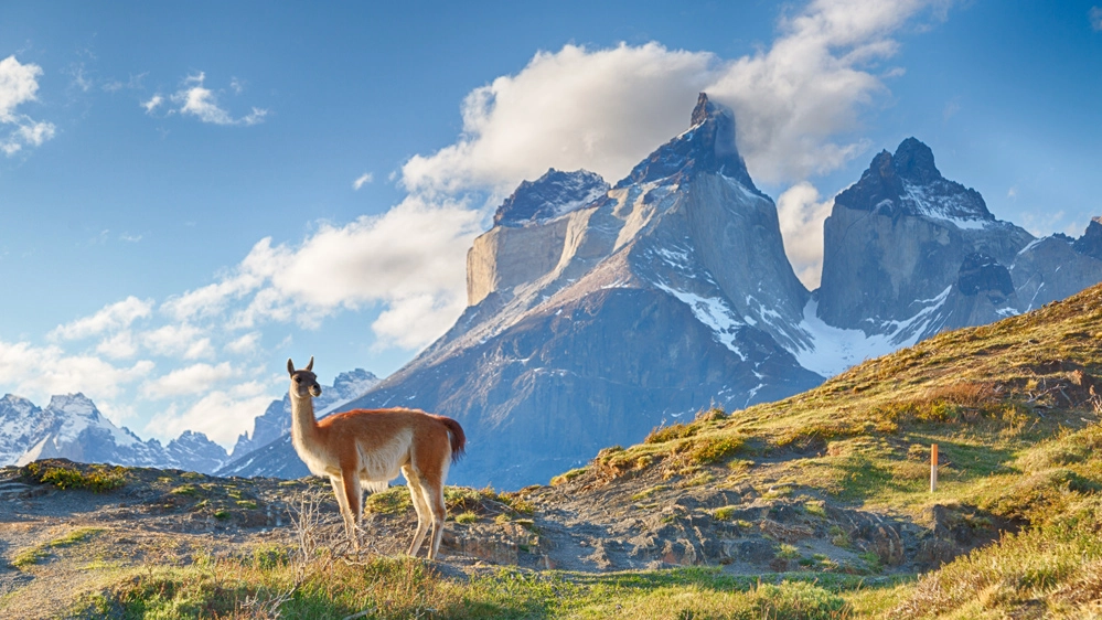 Il Parco Torres del Paine, nella Patagonia cilena - Foto: espiegle/iStock
