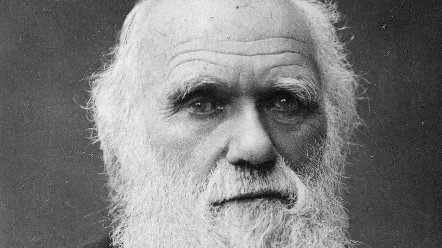 Charles Darwin (foto archivio Ansa)