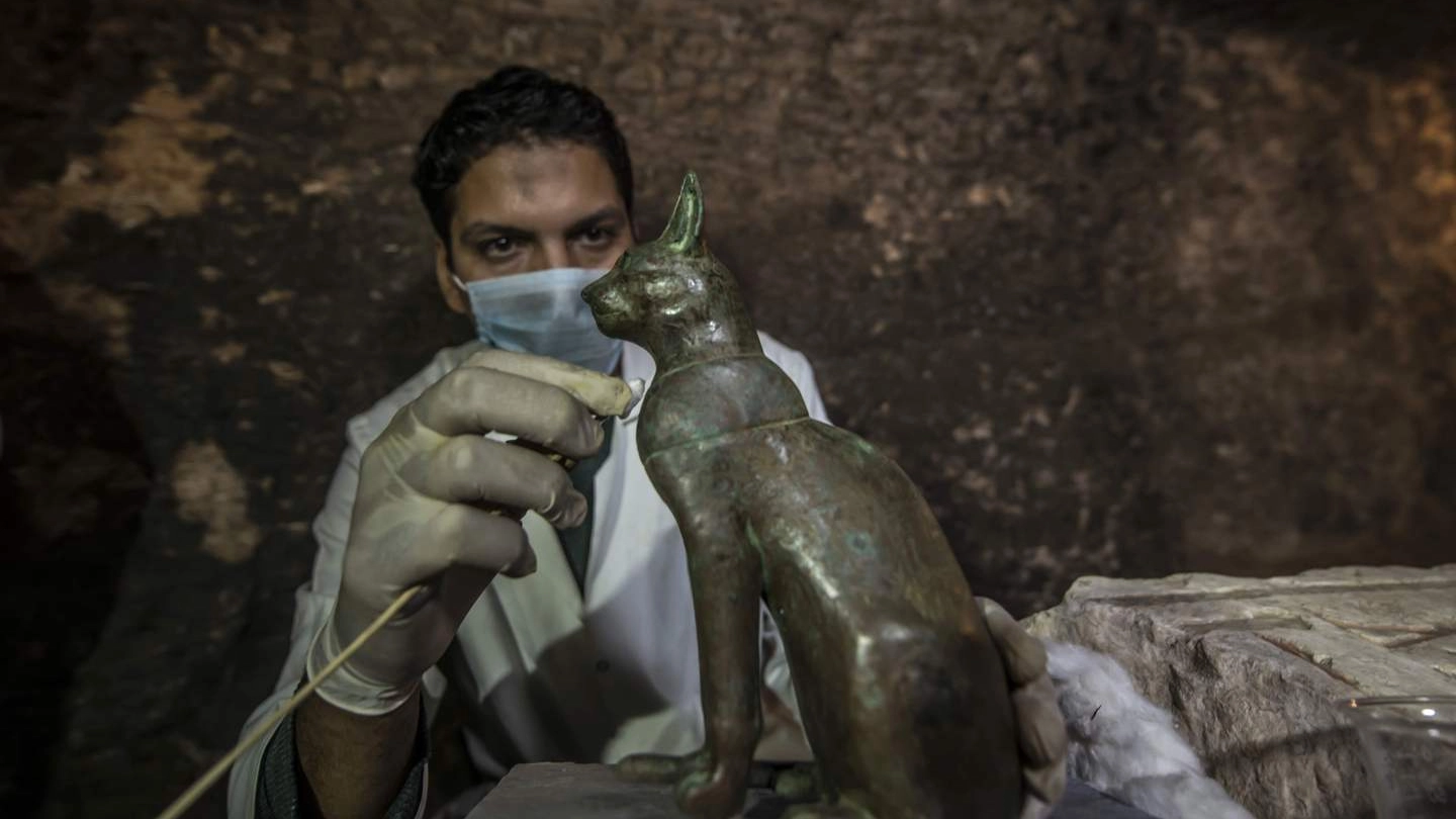 Egitto, scoperte decine di mummie di gatto (LaPresse)