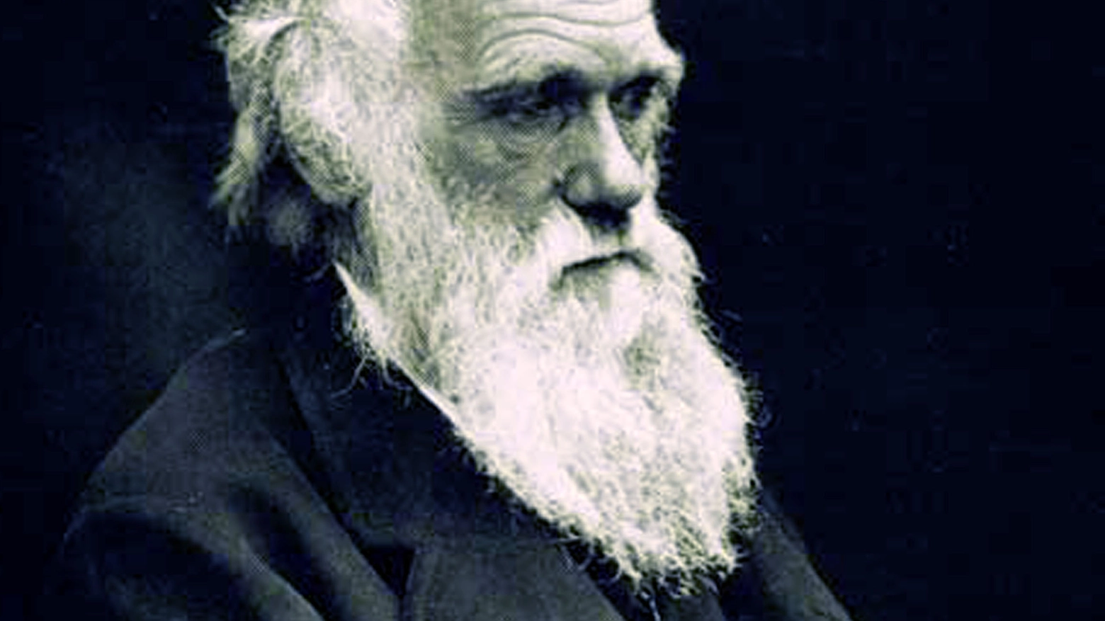 Charles Darwin (Ansa)