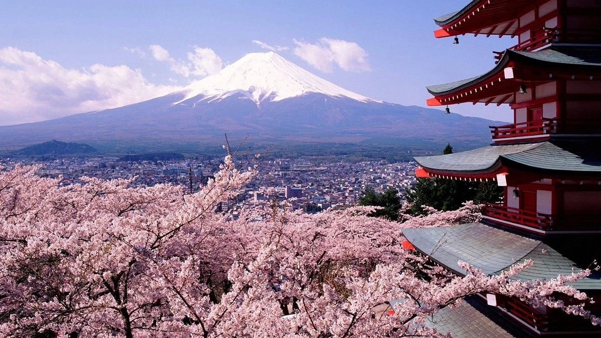 cherry-blossom-Mount-Fuji-volcano-landscape