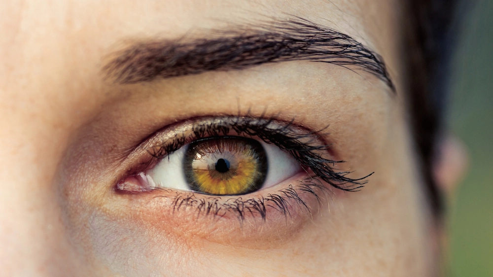 I movimenti delle pupille rivelano cosa stiamo pensando
