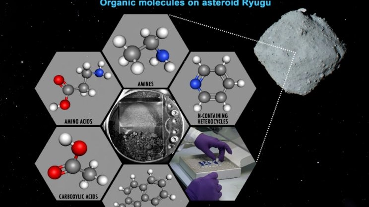 Grafico dell'agenzia spaziale giapponese sull'asteroide Ryugu 