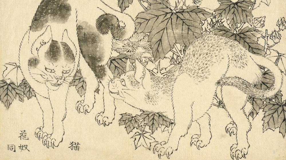 I disegni riscoperti - Foto: Katsushika Hokusai, 1829 © The Trustees of the British Museum
