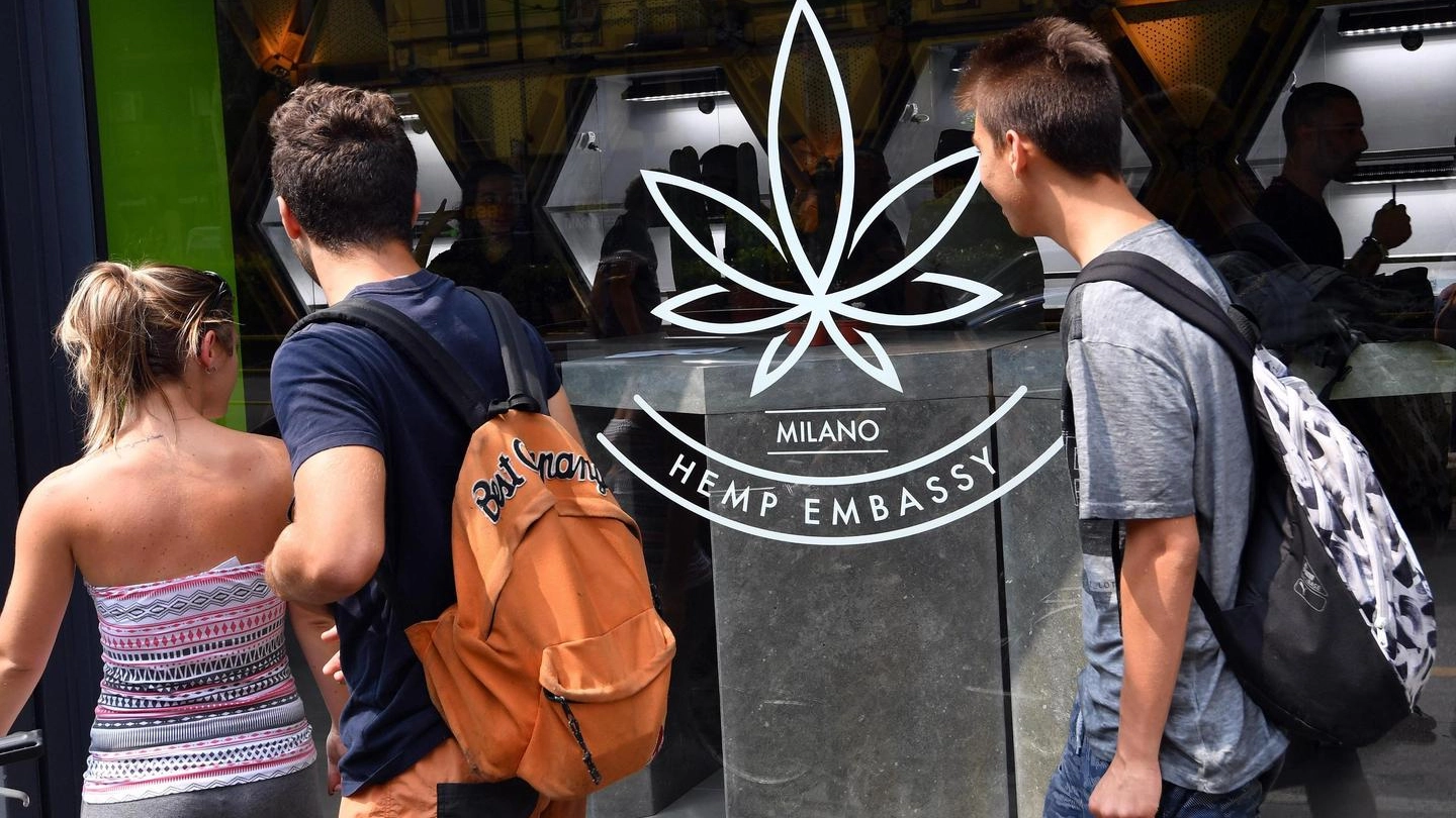 Salvini vuole chiudere i Cannabis shop (Ansa)