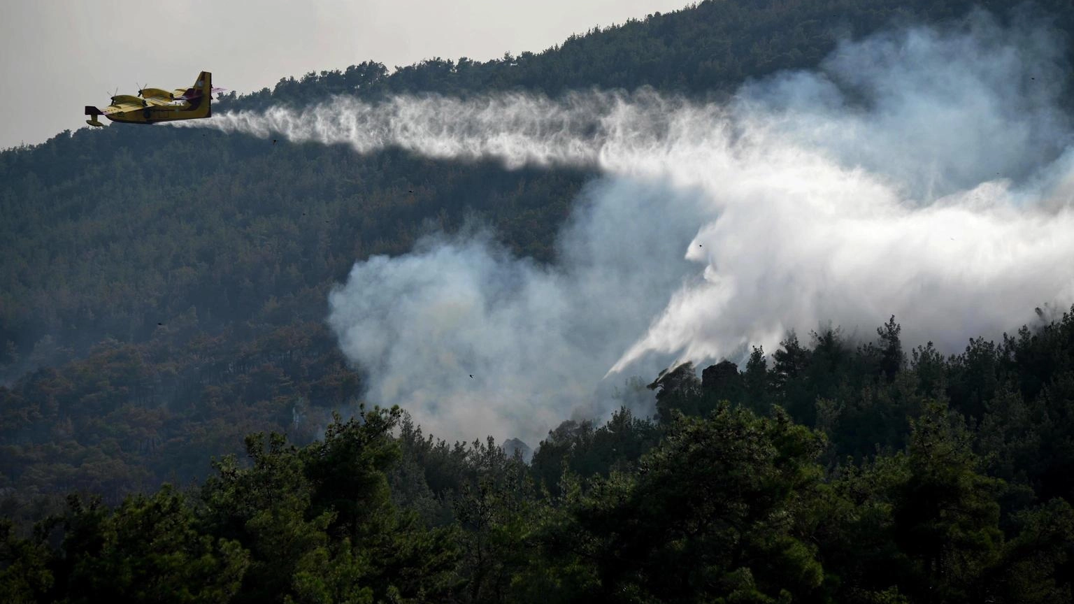 Grecia,aree bruciate da incendi supereranno 150mila ettari