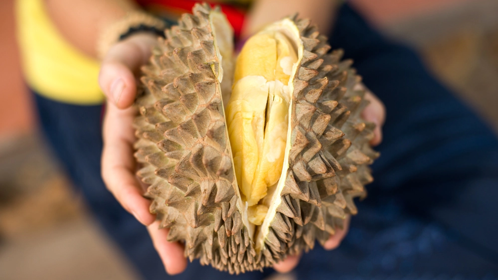Il durian è un frutto dall'odore fortissimo - Leggi anche: Yarygin/iStock