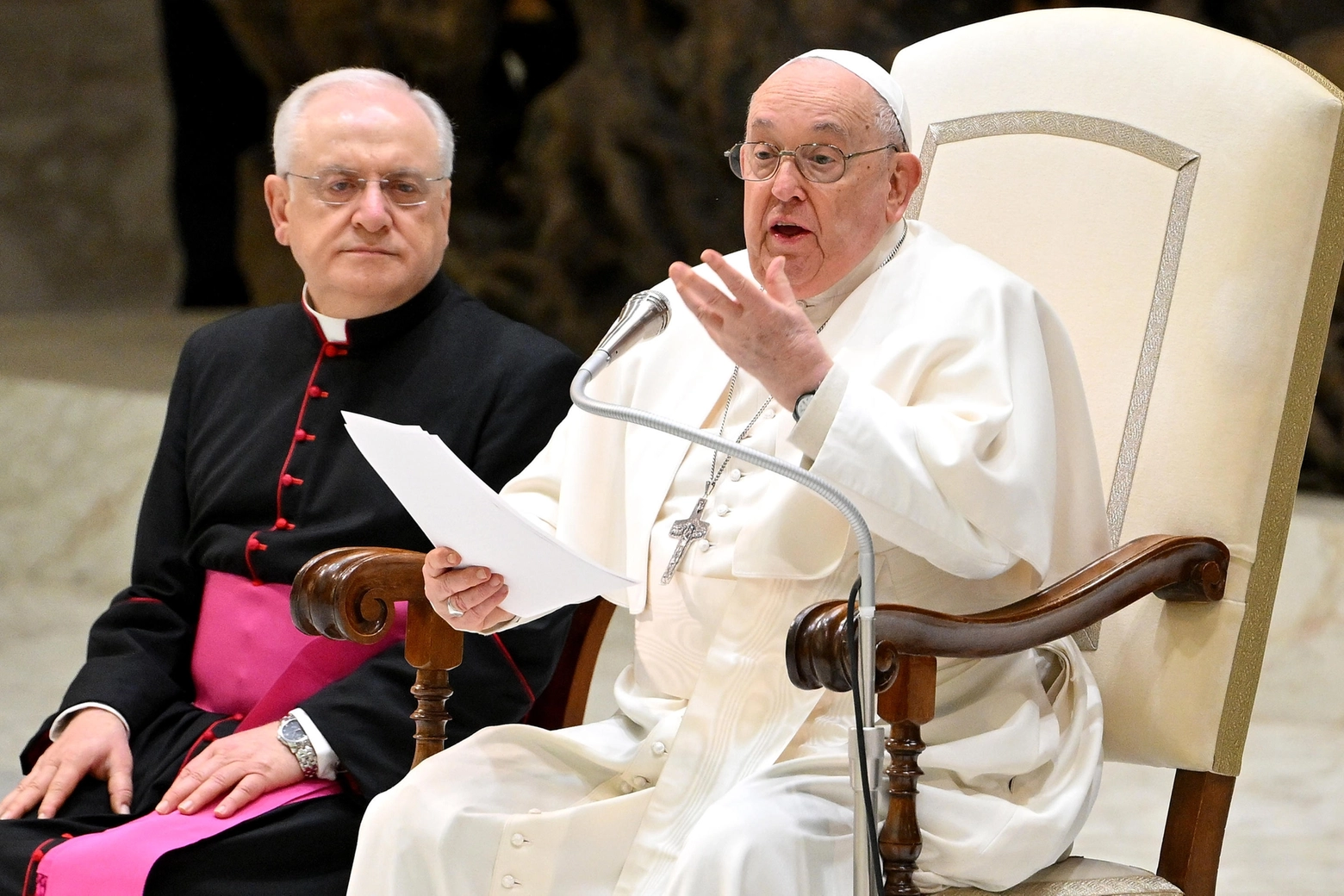 Papa Francesco durante l'udienza in Vaticano (Ansa)