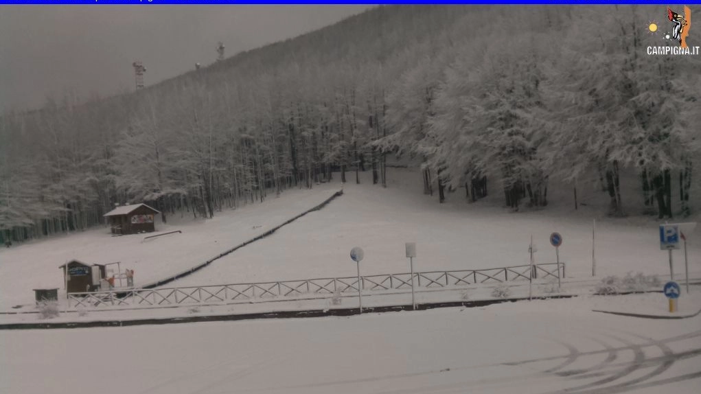 Una webcam del Casentino, dove è tornata la neve (webcamcampigna.it)
