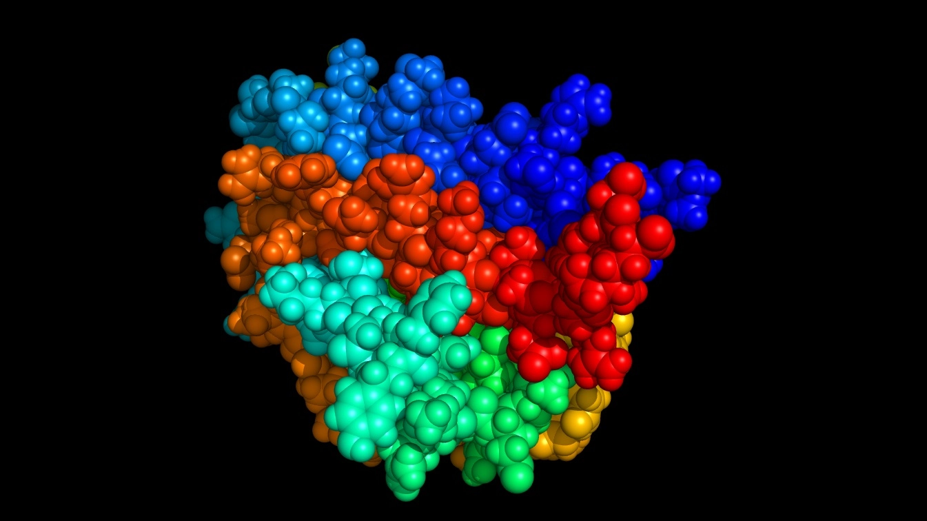 La struttura dell'eritropoietina, ormone che regola la produzione dei globuli rossi
