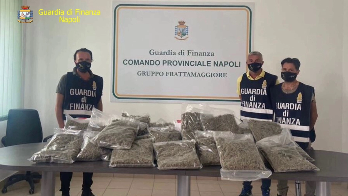 22 chili di pacchi di marijuana sequestrati dal Comando provinciale guardia di finanza