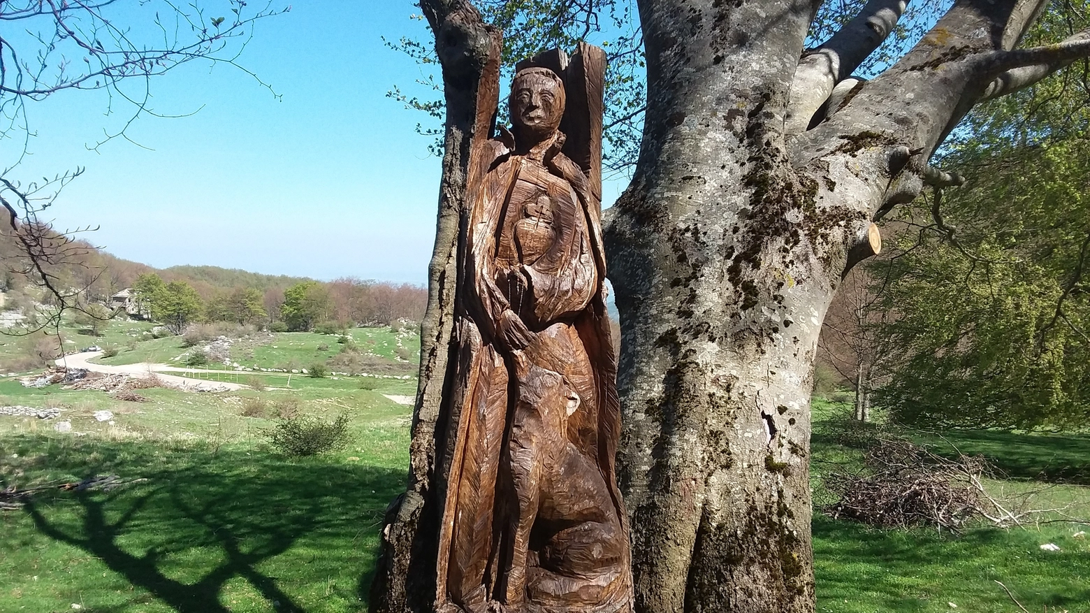 L'albero-scultura di San Gabriele è rimasto intatto nel disastro di Rigopiano
