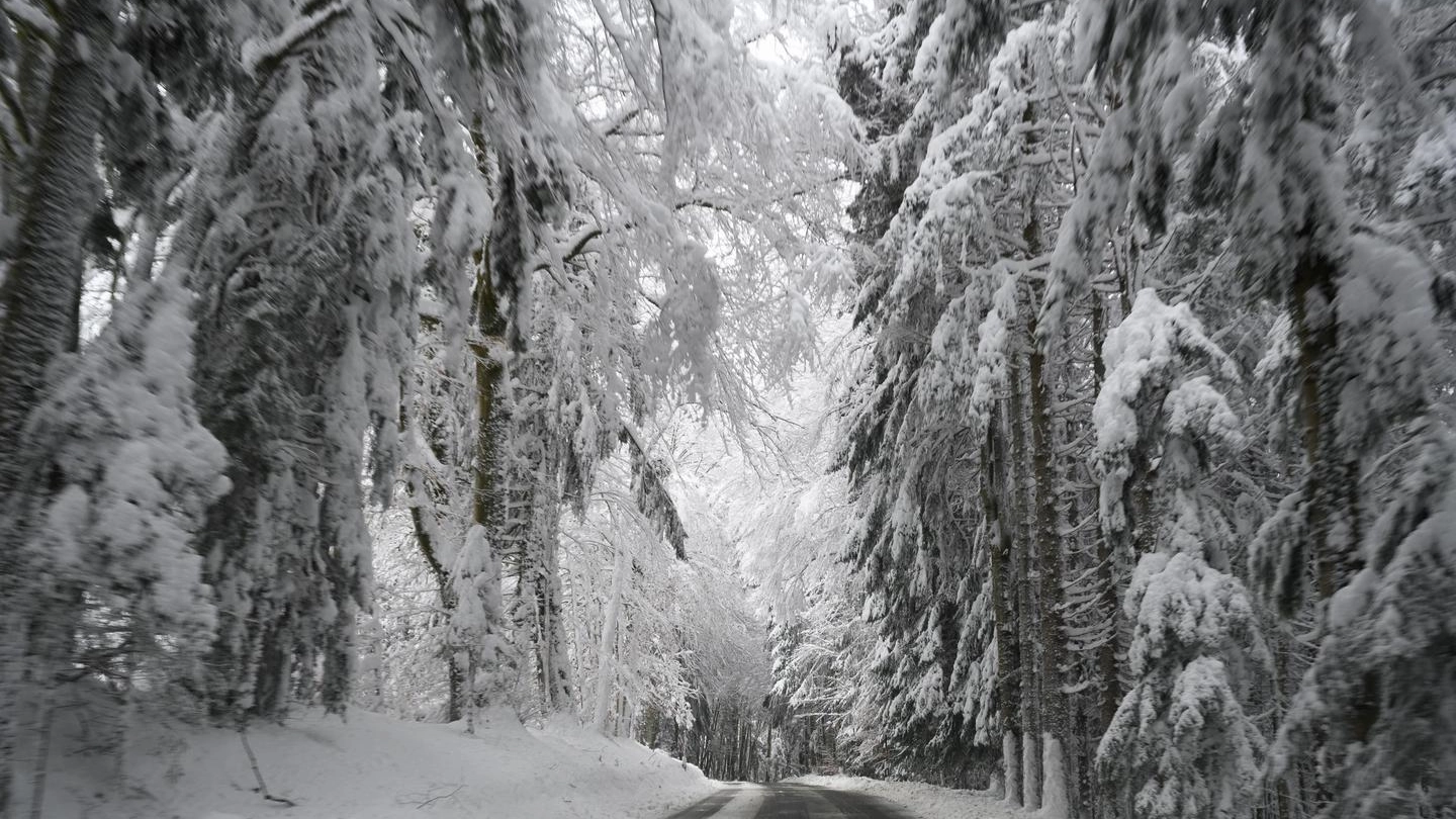 Neve, Germania sepolta. Meteo Italia, nuovo blitz artico (foto Ansa)