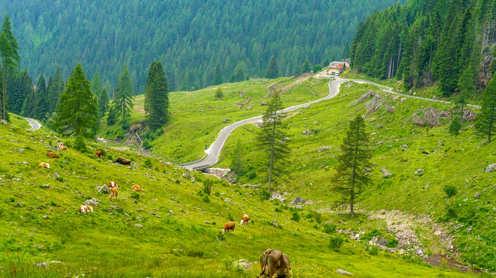 Percorsi naturalistici in Trentino-Alto Adige