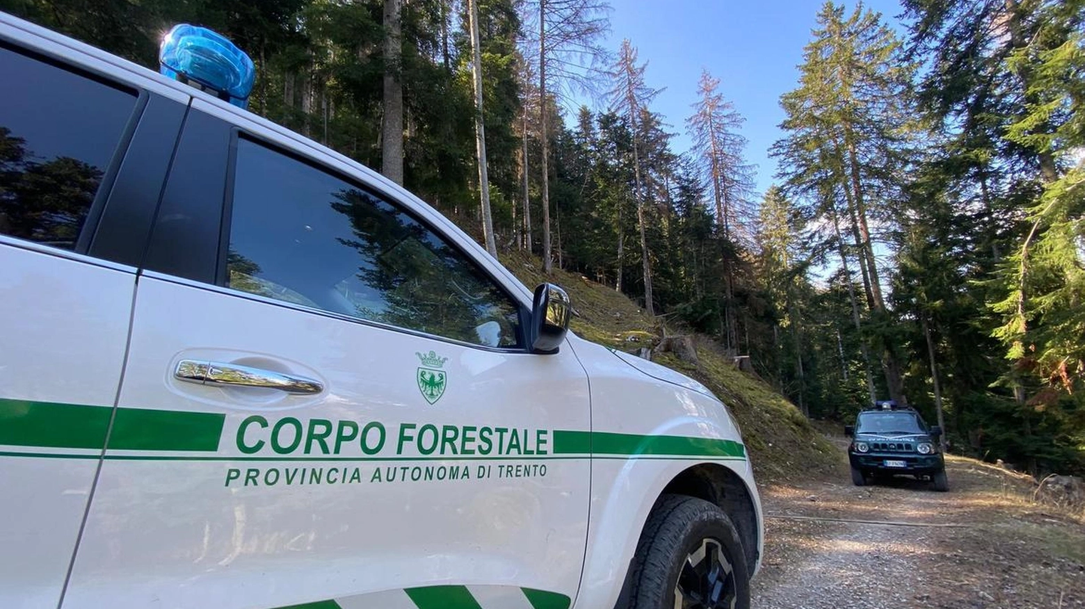 Corpo forestale provincia di Trento (Ansa)