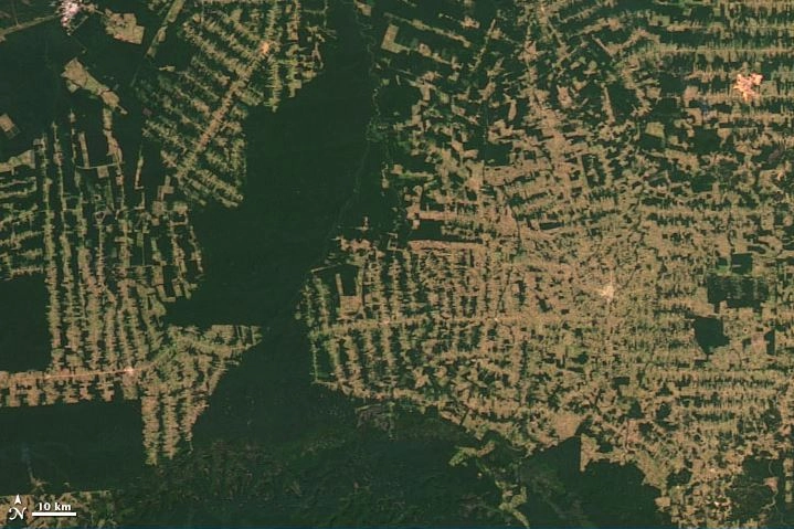 Foto satellitare scattata nel 2019 sulla foresta amazzonica dello stato di Rondônia (Nasa)