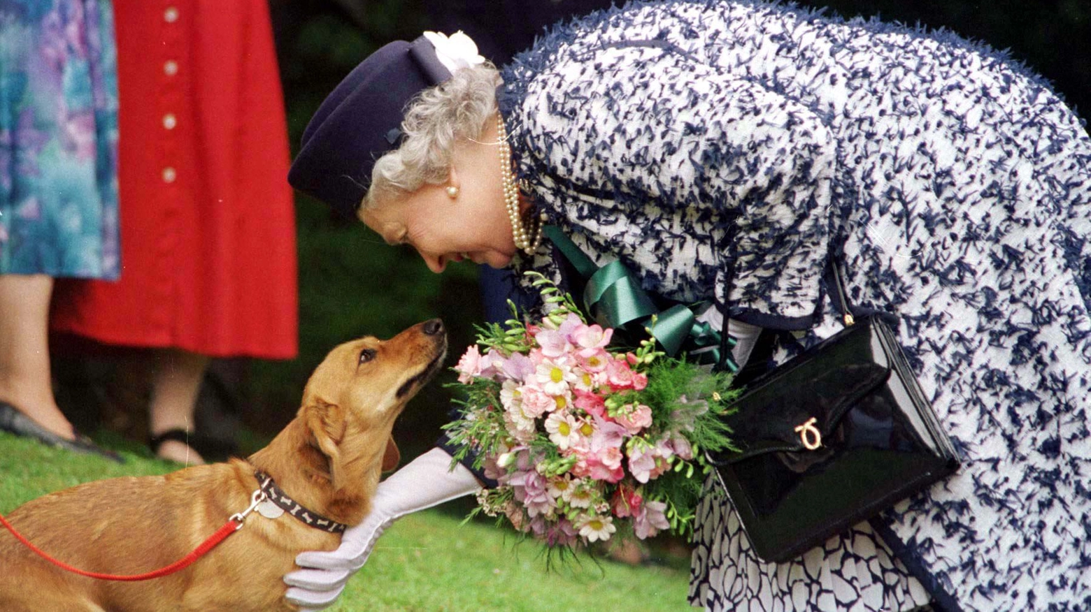 La regina Elisabetta II con uno dei suoi amatissimi cani (Ansa)