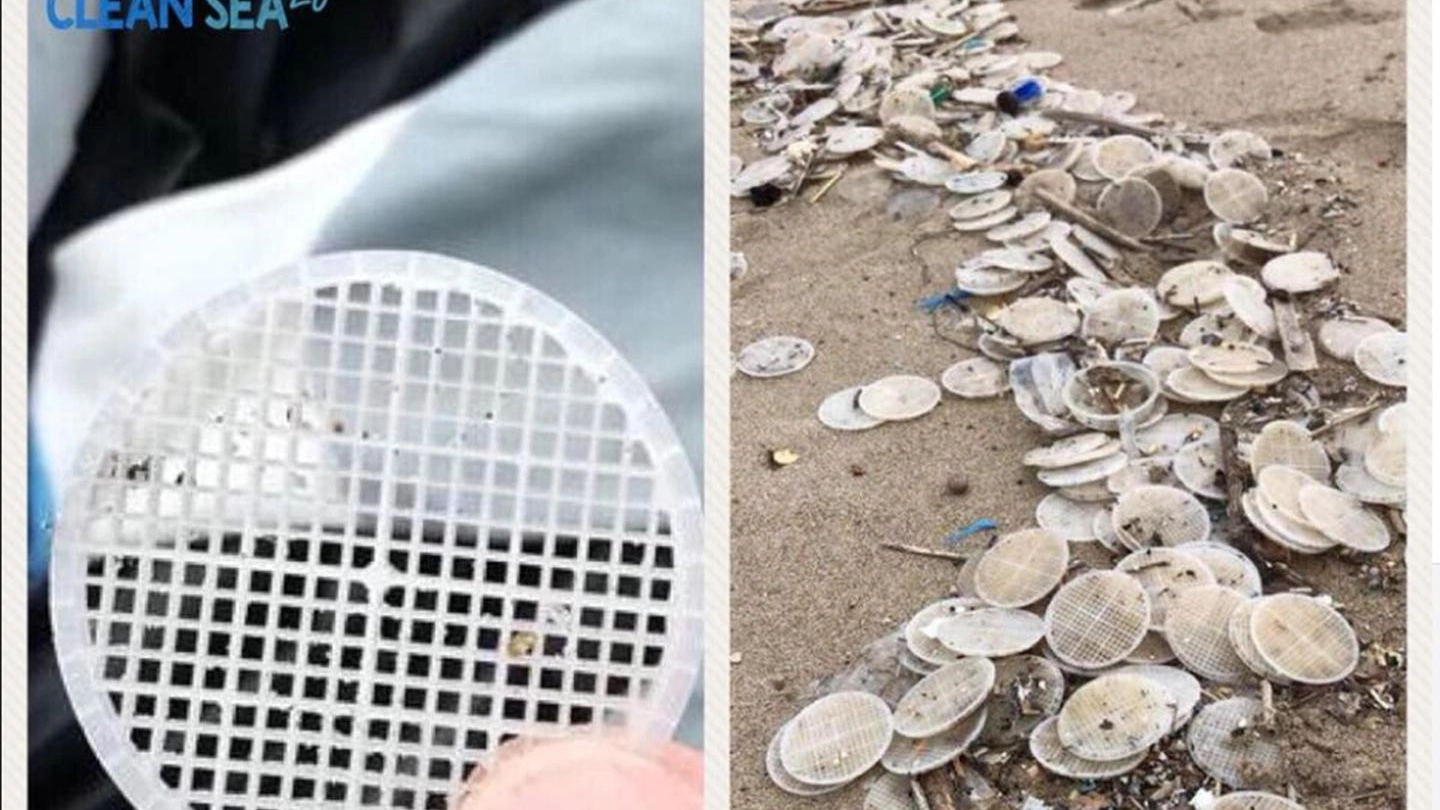 Risolto il mistero dei dischetti di plastica che hanno invaso il Tirreno (Ansa)