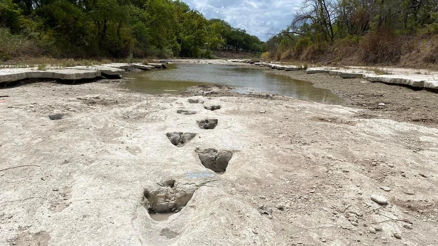 Texas, le impronte dei dinosauri nel fiume prosciugato dalla siccità estrema