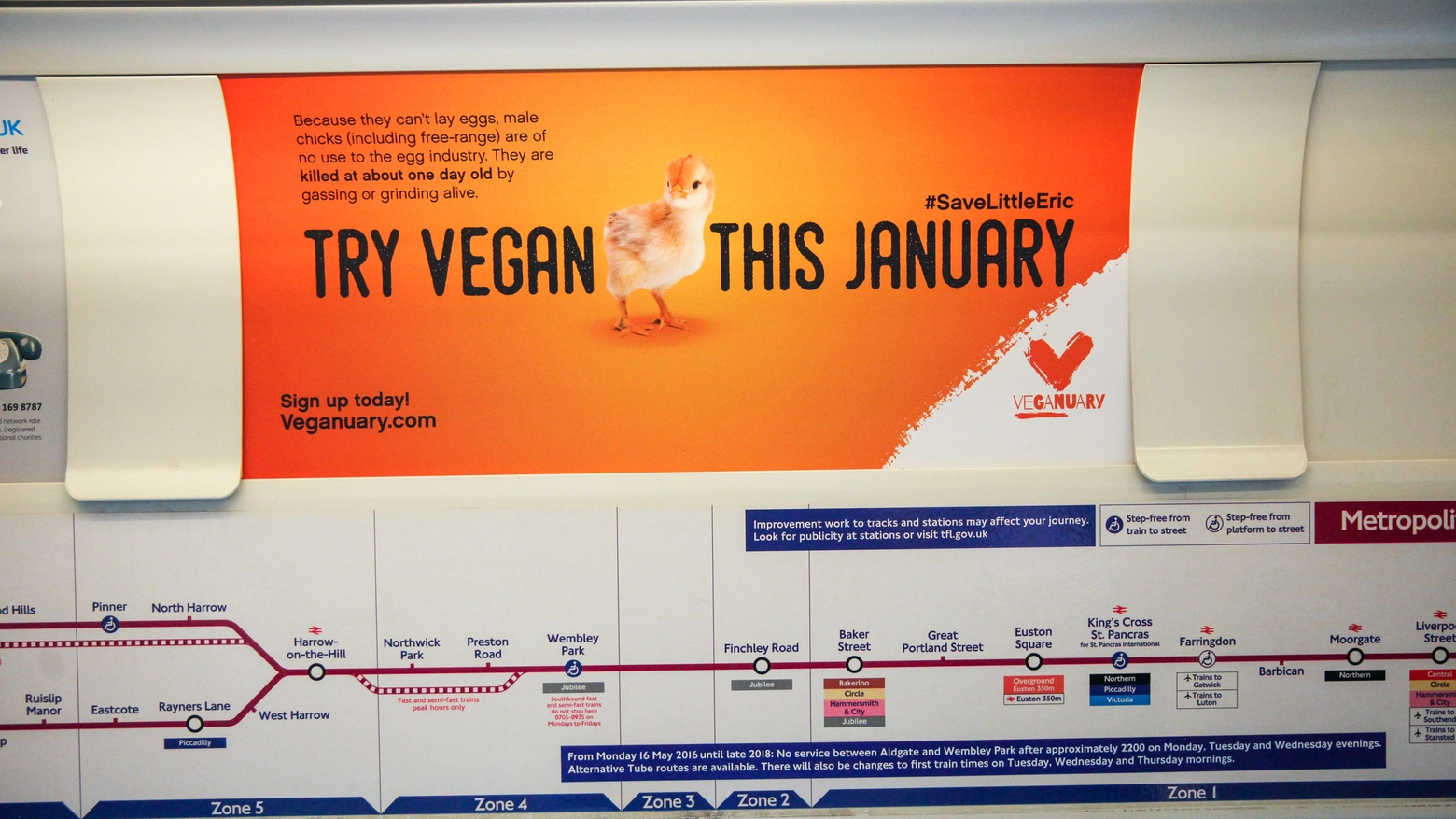 Un manifesto di Veganuary a Londra nel 2019 (Archivio)
