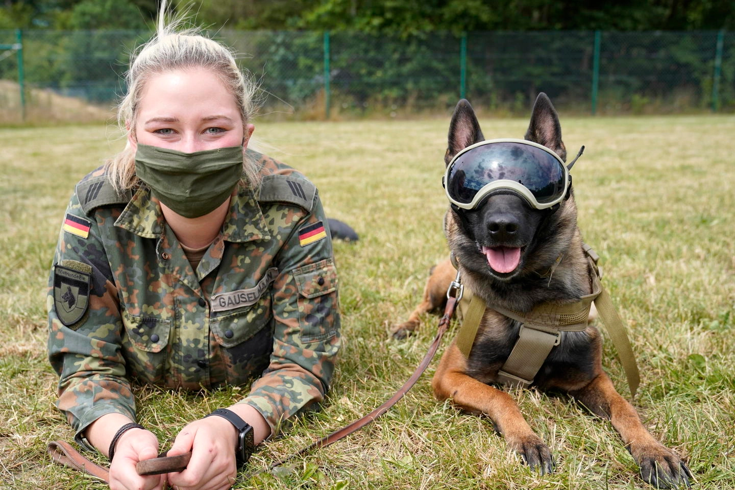 Germania, cani addestrati per fiutare il Covid-19 (Ansa)