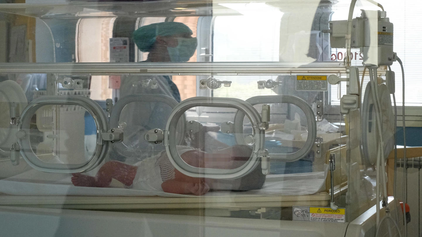 Neonati  nelle culle, nel reparto di Ostreticia degli Spedali Civili di Brescia (Ansa)