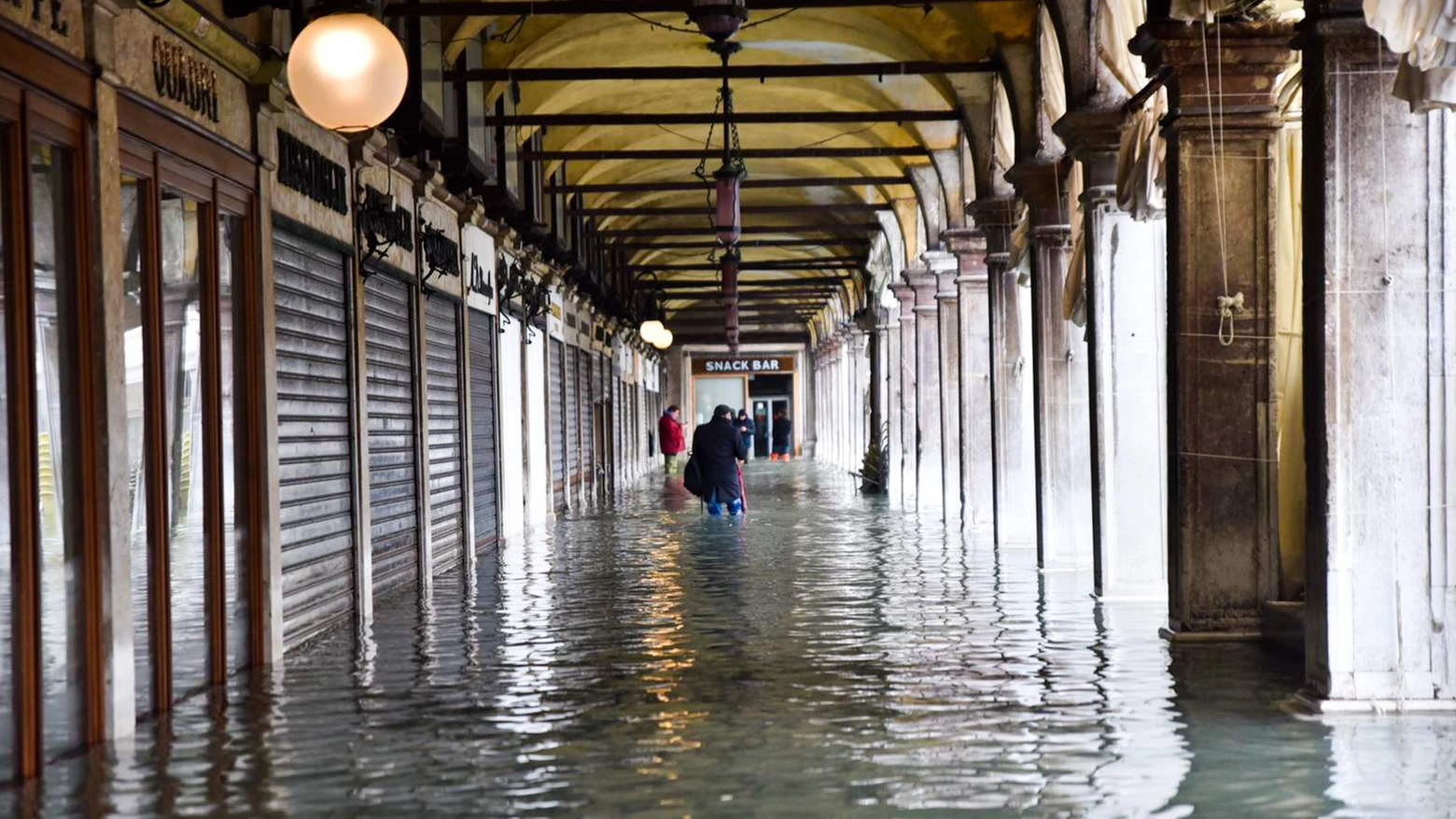 Meteo, l'acqua alta a Venezia nel novembre 2019 (Alive)