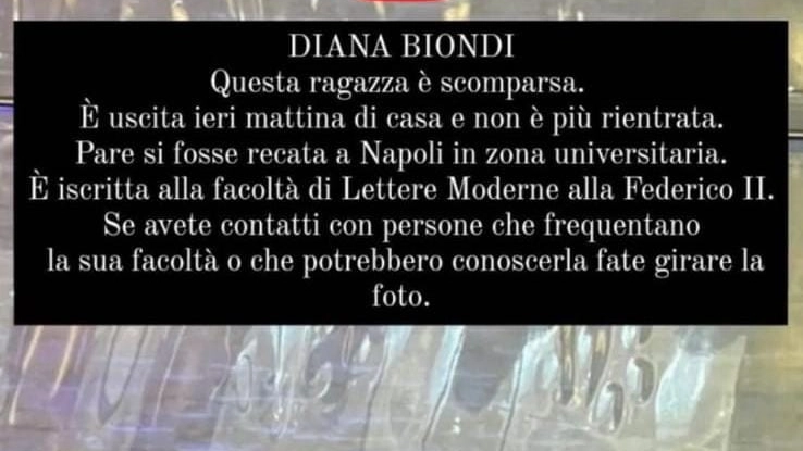 La foto pubblicata sui social per la ricerca di Diana Biondi