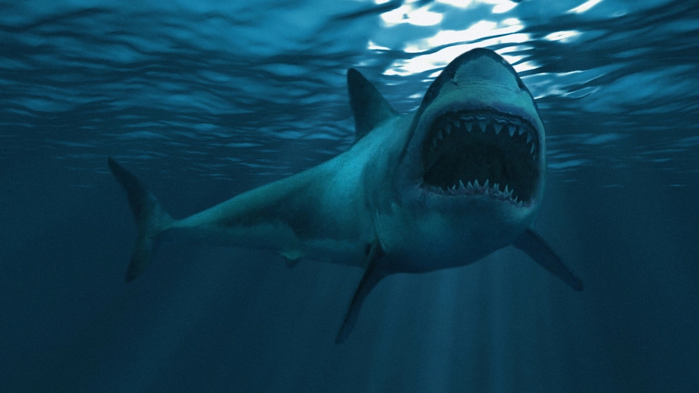 Lo squalo di 91 milioni di ani fa aveva comportamenti cannibali