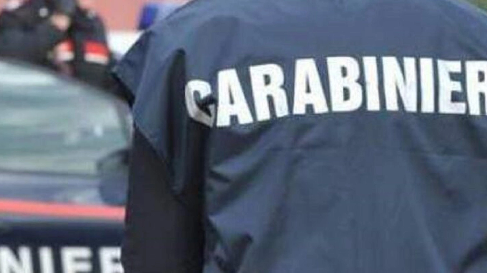 Un'immagine dei carabinieri (Ansa)