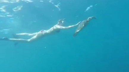 Federica Pellegrini nuota con una tartaruga alle Maldive (Instagram)