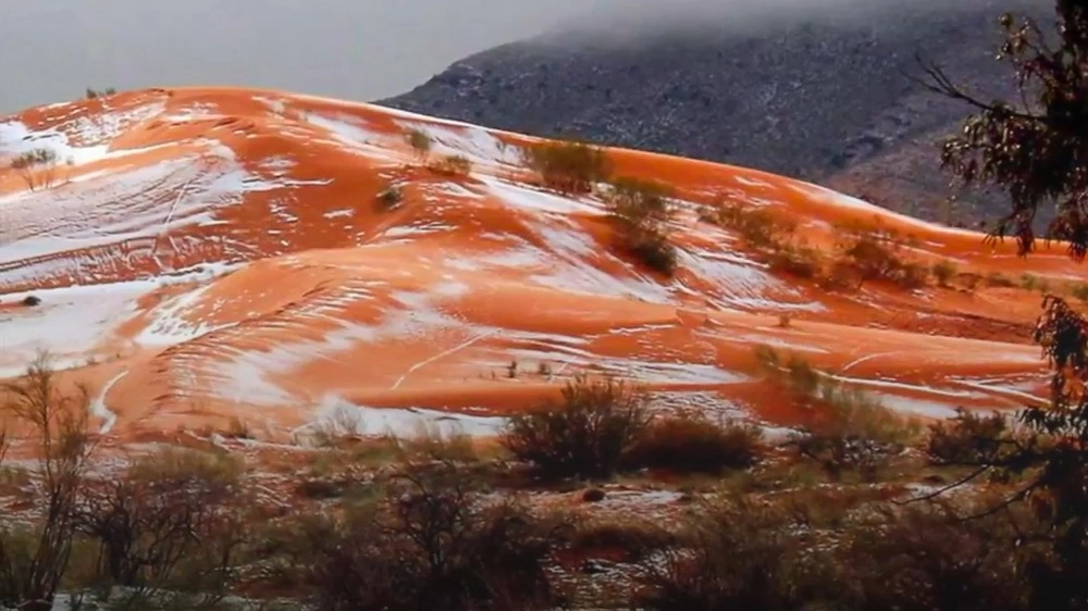 Il contrasto della neve sulla sabbia del deserto del Sahara - Foto: Indiatimes / YouTube