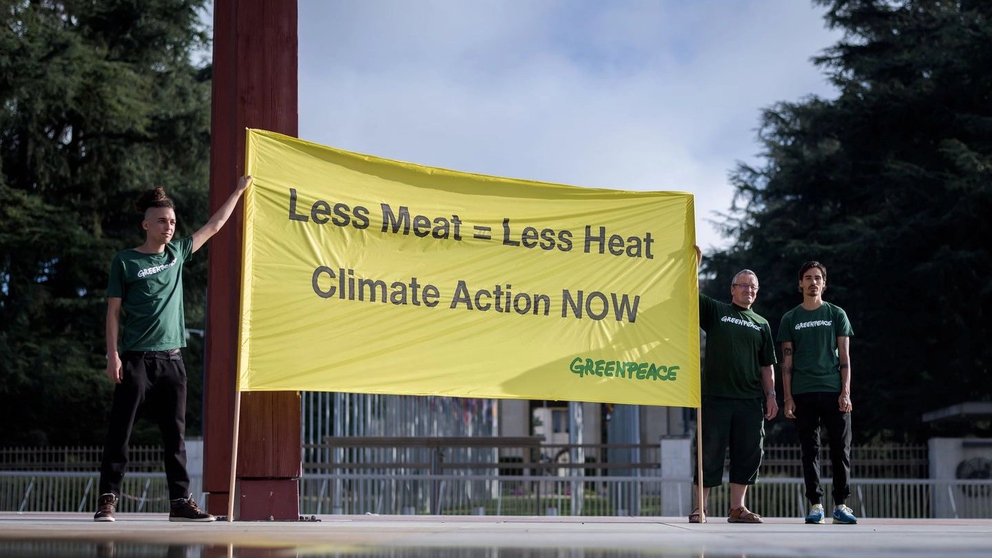 Presidio Greenpeace a Ginevra (LaPresse)
