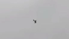 Il pilota acrobatico statunitense Eglin Wells precipita (da youtube)