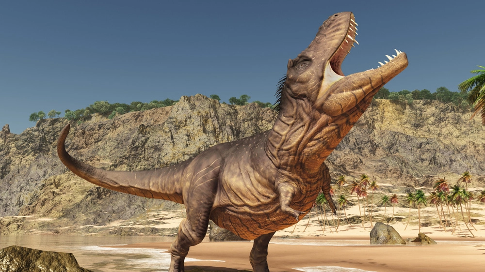 Il Tyrannosaurus rex, un gigantesco predatore dalle braccia core