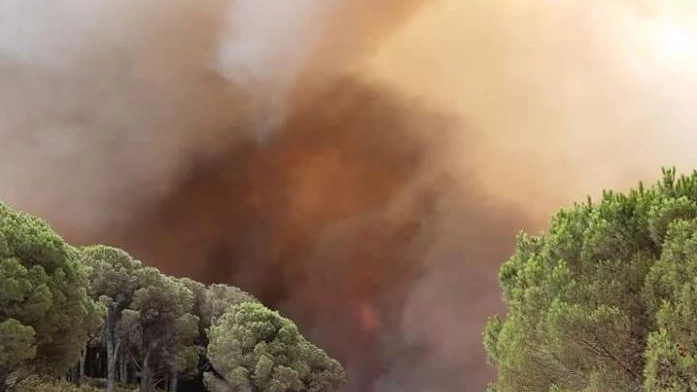Incendi in Calabria, situazione drammatica