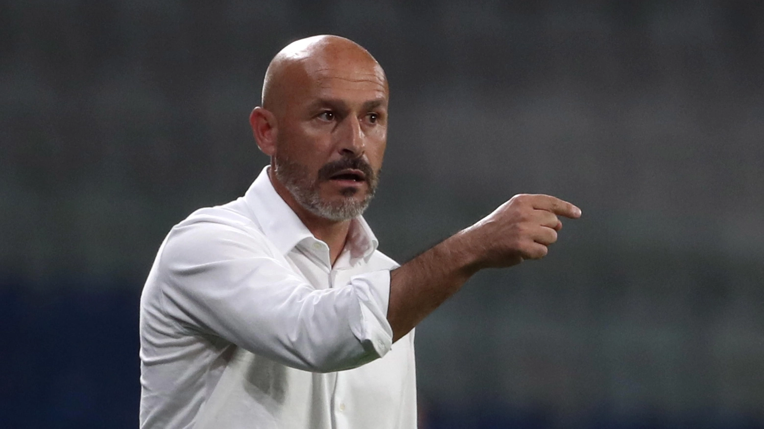 Vincenzo Italiano, allenatore della Fiorentina (Ansa)