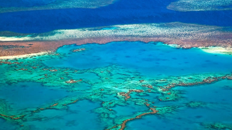 Veduta aerea della Grande barriera corallina, in Australia (Arterra Picture Library/Alamy)
