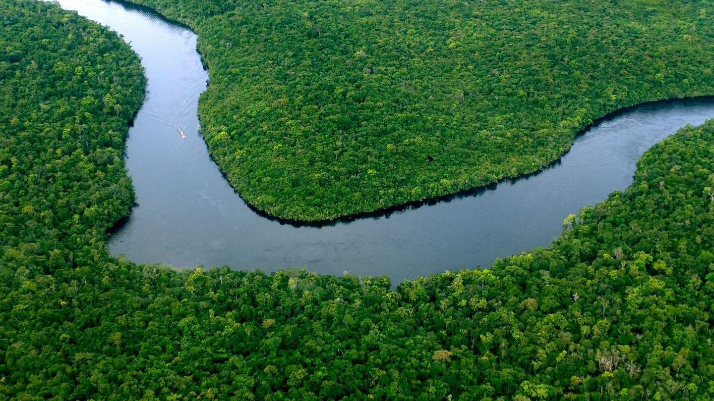 Amazzonia (foto Afp)