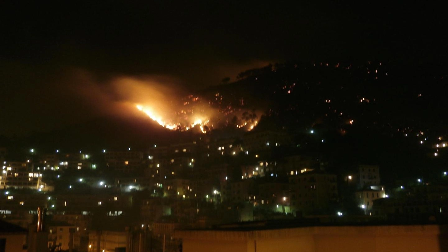 L'incendio sulle alture di Genova (Ansa)